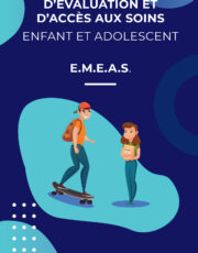 image plaquette EMEAS